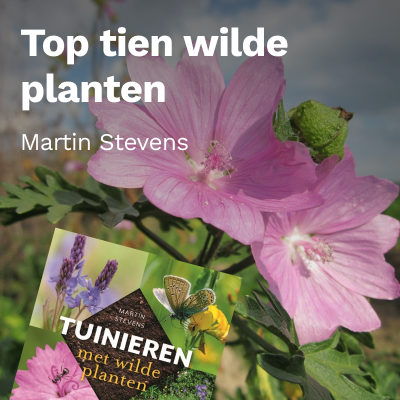 Top tien wilde planten
