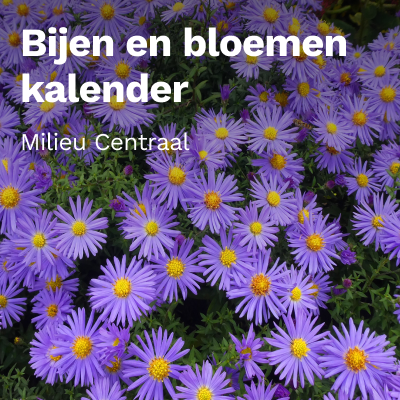 Bijen en bloemenkalender