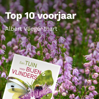Top 10 voorjaarplanten