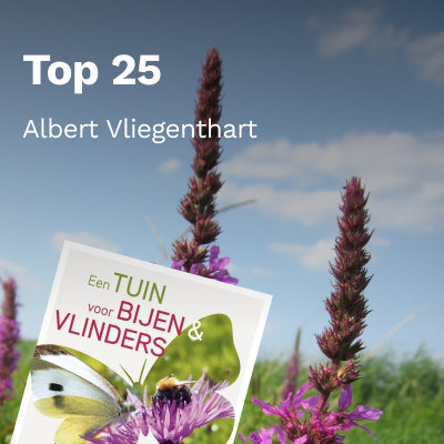 Top 25 van Albert Vliegenthart