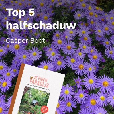 Top 5 halfschaduw