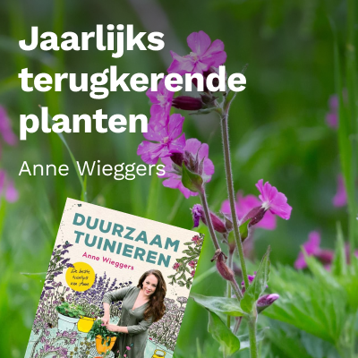 Jaarlijks terugkerende planten
