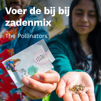 Voer de bij bij zadenmix